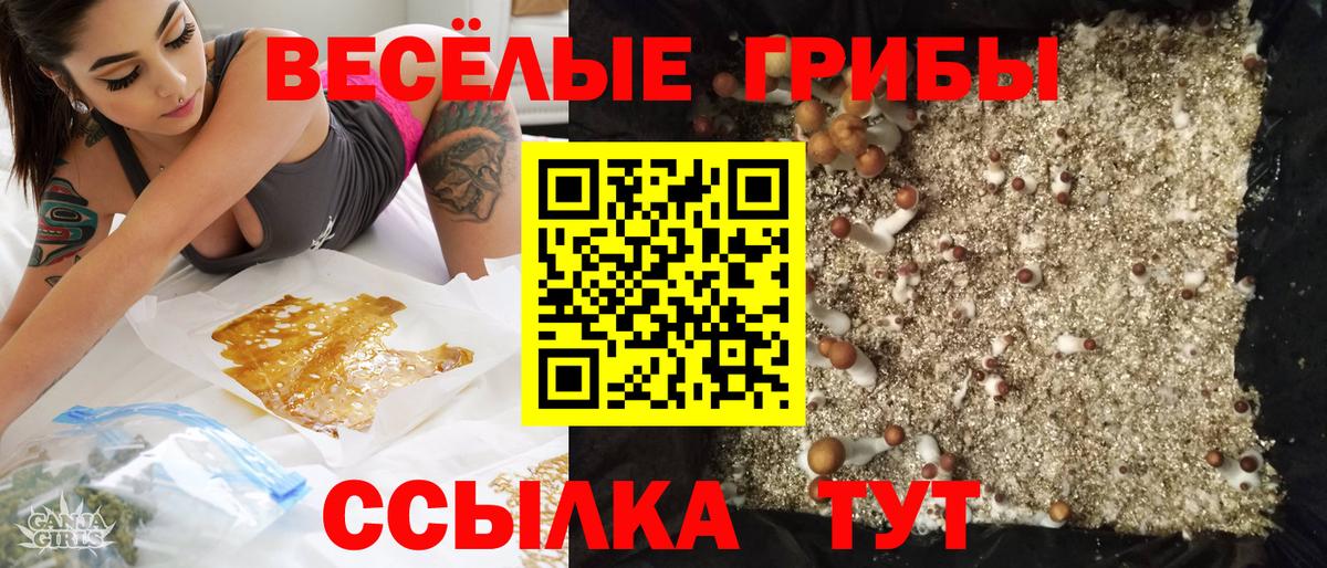 Тула  Галлюциногенные грибы GOLDEN TEACHER  Вход с VPN 