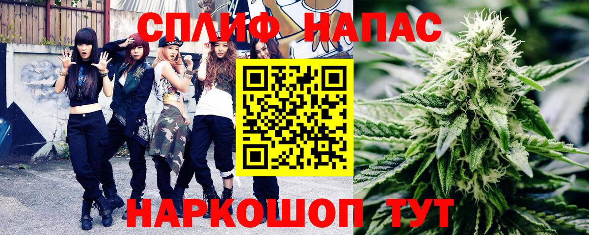 Каннабис индика Тула